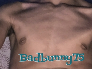 Badbunny75