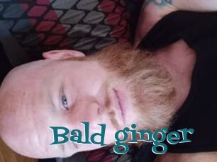 Bald_ginger