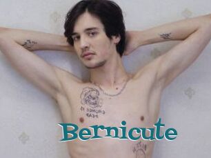 Bernicute