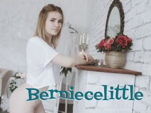 Berniecelittle