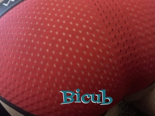 Bicub