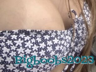 Bigboobs2023