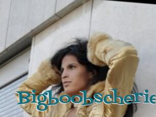 Bigboobscherie