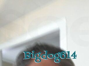 Bigdog614