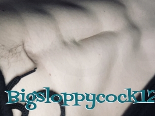 Bigsloppycock125