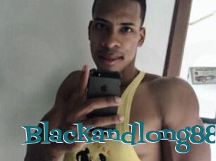 Blackandlong88