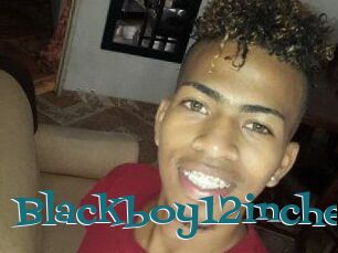 Blackboy12inches