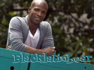 Blacklatinbear