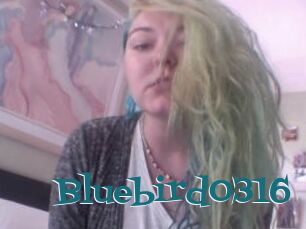 Bluebird0316
