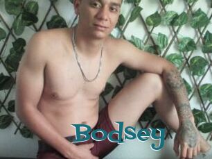 Bodsey