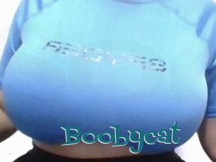 Boobycat