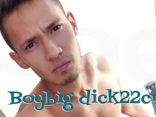 Boybig_dick22cm