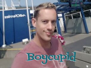 Boycupid