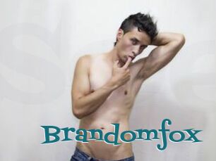 Brandomfox
