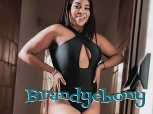 Brandyebony
