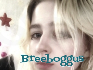 Breeboggus