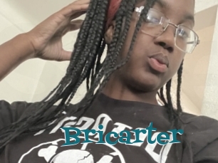 Bricarter