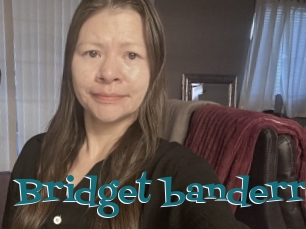 Bridget_banderro
