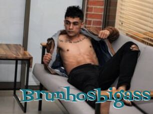 Brunhosbigass