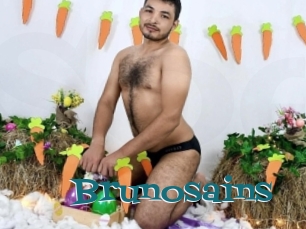 Brunosains