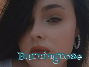 Burningrose