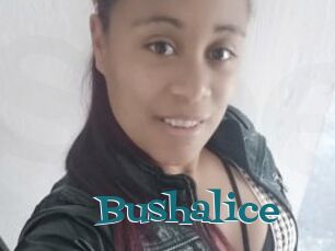Bushalice