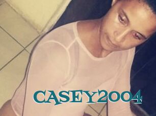 CASEY2004