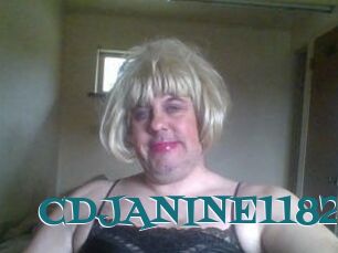 CDJANINE1182