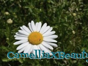Camellia_XBeauty