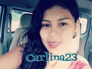 Carlina23