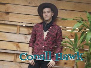 Conall_Hawk