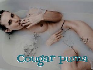 Cougar_puma