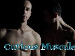Curious_Muscules