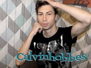 Calvinhobbes