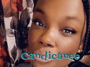 Candicanee