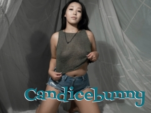 Candicebunny