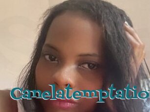 Canelatemptation