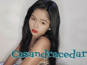 Casandracedar