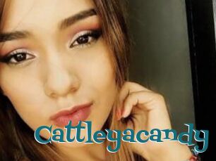 Cattleyacandy
