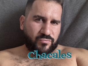 Chacales