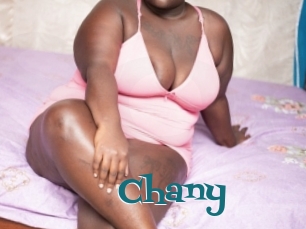 Chany