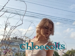 Chloecolts