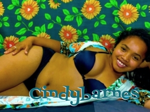 Cindybarnes