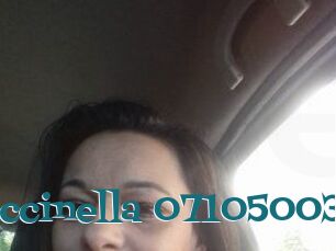 Coccinella-07105003