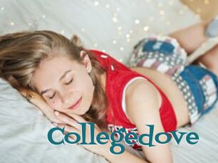 Collegedove