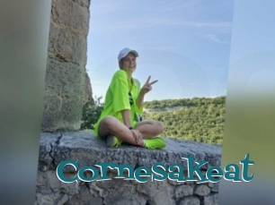 Cornesakeat