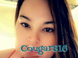 Cougar816