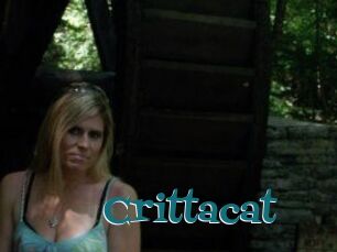 Crittacat