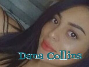 Dana_Collins