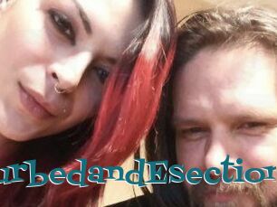DeziDisturbedandEsection